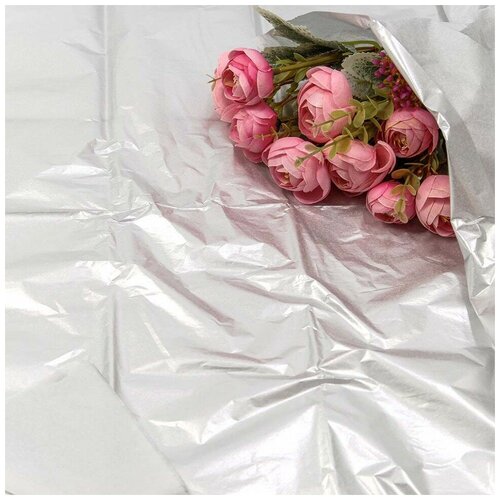 ������ ������ ����������� ������, ����� (0,5*0,65 �) �������, 10 ��. ����