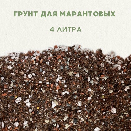 ������ ������ ����� ��� ������� , ��� ��������. ������������� ����� ��� ����������. ����� ��� ������ ���������. 4 �����. ����