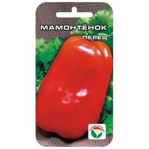 ������ ������ ����� ������� ���������� 15�� ��������� ��� ����