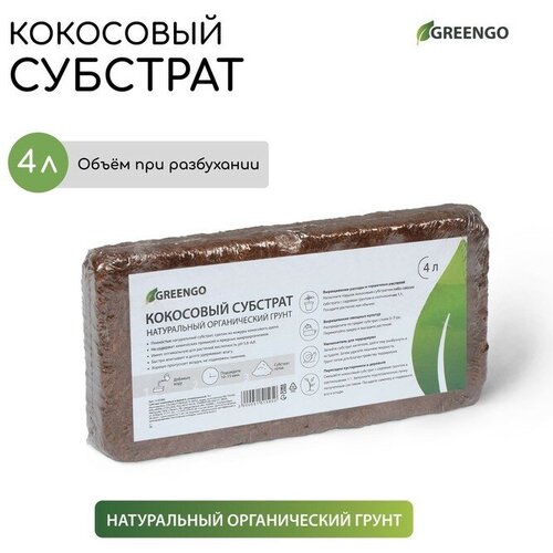   Greengo ,      ,  , 4      -     , -,   