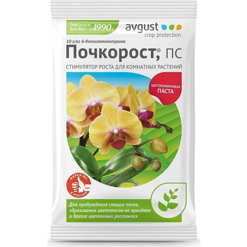     Avgust  N100 1.5    -     , -,   