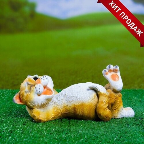 ������ ������ ������� ������ 