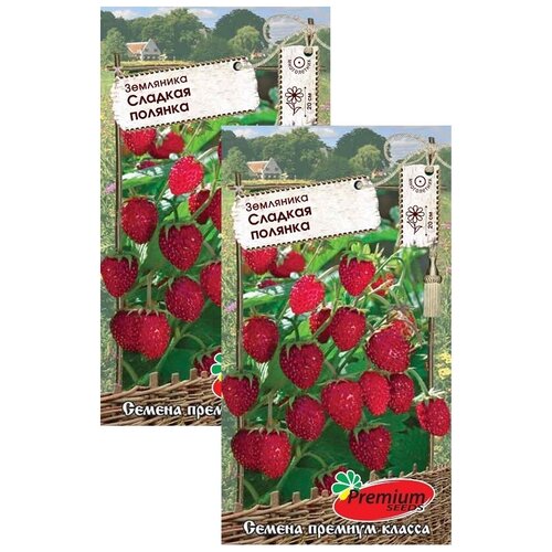 ������ ������ ��������� ������� ������� (0,04 �), 2 ������ ����