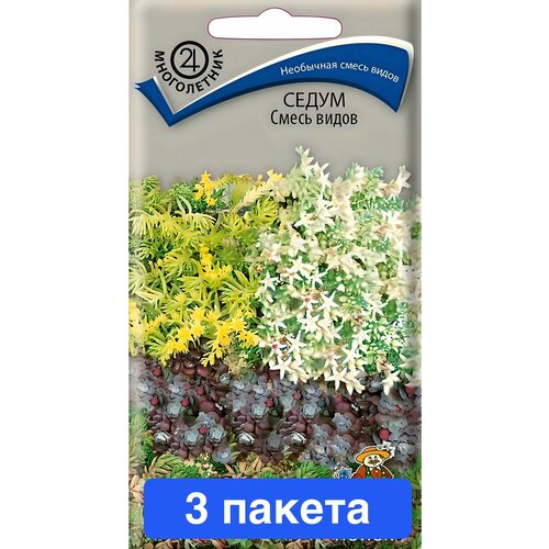 ������ ������ ������ ������ ����� 