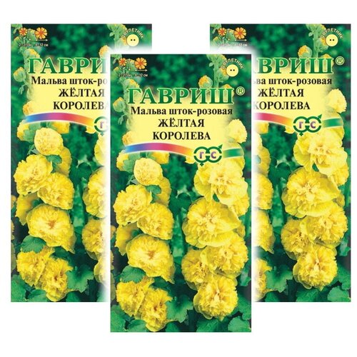 ������ ������ �������� ����� ������ ������ �������� � 3 ��. ����