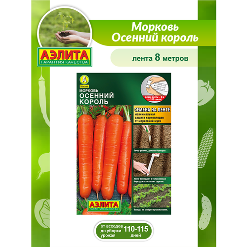 ������ ������ ������ ������� ������� ������ ����� 8 ������ ����