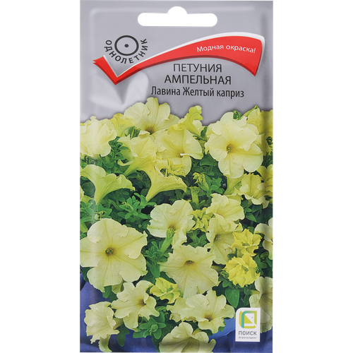 ������ ������ ������ ����� ������� ��������� ������ ������ ������, 10�� ����