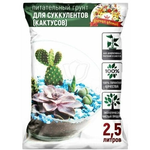 ������ ������ ����� ��� �������� � ����������� 2,5� ������ ������. ����