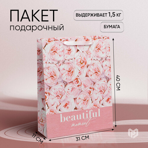 ������ ������ ����� ���������� ����������, 31 ? 40 ? 11,5 �� ����