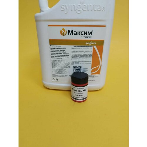 ������ ������ ������������ ������ 50 �� ����