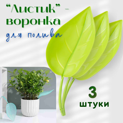 ������ ������ ���������� ��� ������ ��������� �������� ����