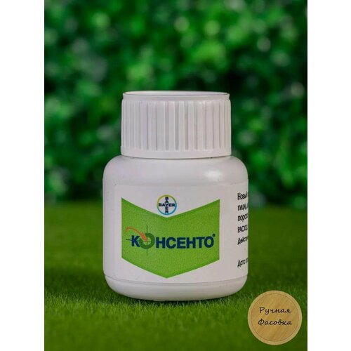 ������ ������ �������� �������� 50 �� ����