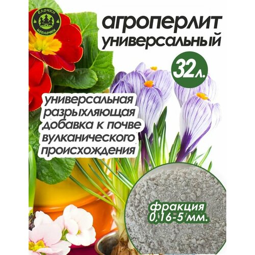 ������ ������ ���������� ��� �������� � ������ 32 ����� ����