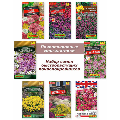 ������ ������ ����� �����, ������ �������������� ����������� ������ ����