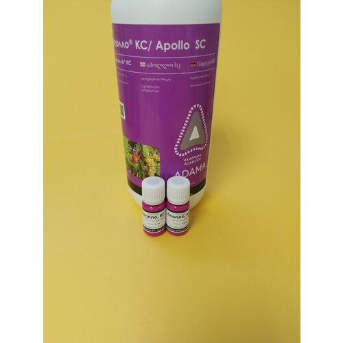 ������ ������ �������� ������ 2 �� �� 10 �� ����