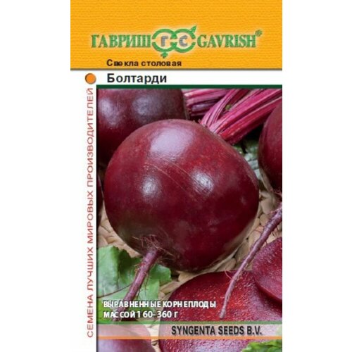 ������ ������ ������ ������ �������� 1� �������� ������ (������) ����