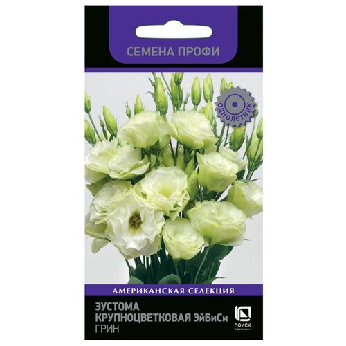 ������ ������ ������ ������� ��������������� ������ ���� ��������� ������ ����� ���������� 10 ��. ����