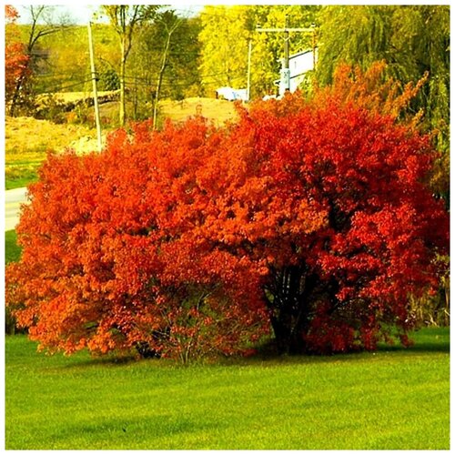 ������ ������ ������ ������ ��� ��������� ������� 10 ��. ����