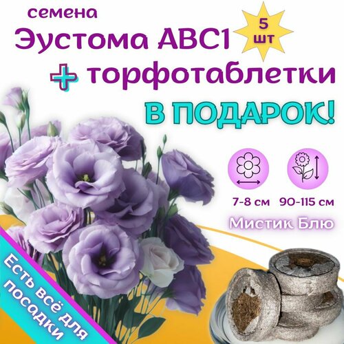 ������ ������ ������ ������� ������������ ����������� ������ ���, ��������� ��������� + �������� �������� Jiffy � �������, 5�� ����