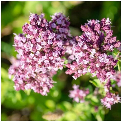 ������ ������ ������ ������ ������ �������� 150 ��. ����