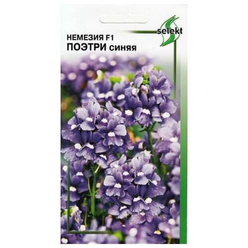 ������ ������ ������� F1 ������, �����, 7 ����� ����