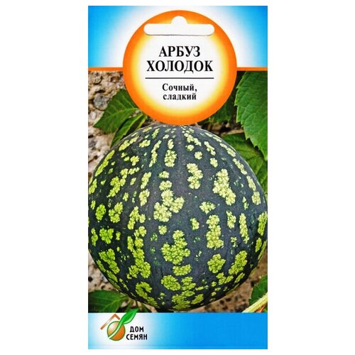 ������ ������ ����� �������, 10 ����� ����