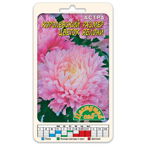 ������ ������ ������ �������� ��� 