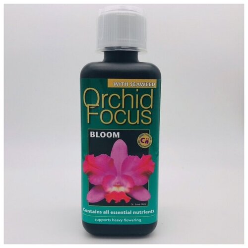     Orchid Focus Bloom  300   -     , -,   