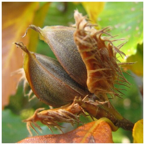 ������ ������ ������ ������ ������� ������� �����, ��� ����������� 10 ��. ����