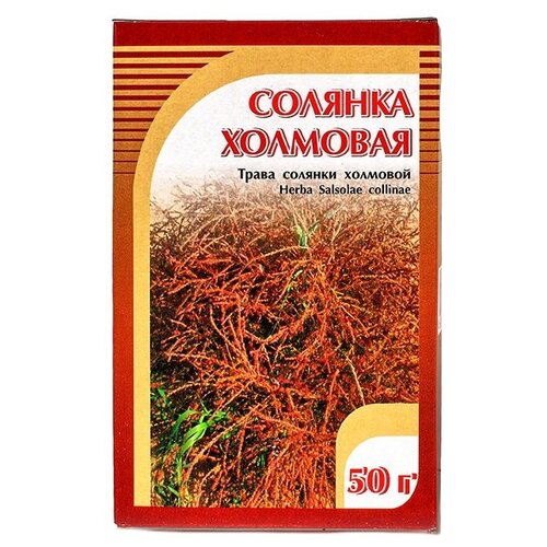 ������ ������ ����� ����� ������� �������� (���), 50 � ����