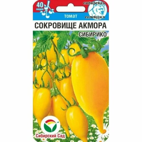 ������ ������ ������ ����� ��������� ������ �������� (������������) ��. (��������� ���) 20�� ����