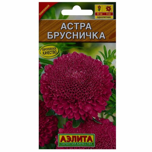 ������ ������ ������ ������ ����� ��������� ������� ������ ����