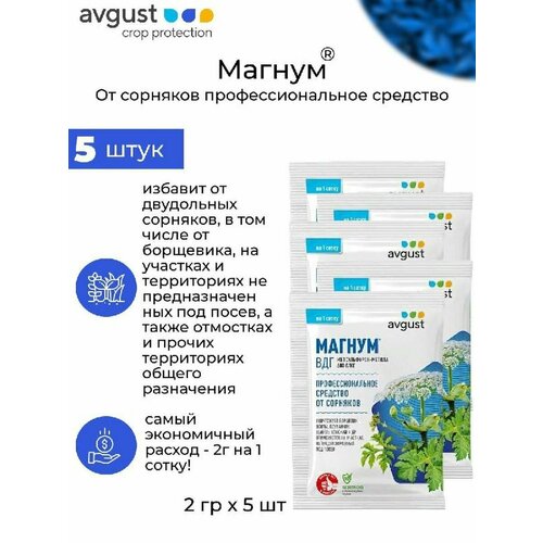 ������ ������ �������� �� �������� AVGUST ������, �������, ��� 10 �, 5 ���� ����