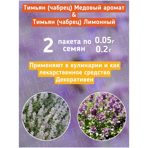 ������ ������ ������ (������) ������� ������ � �������� ������ 2 ������ �� 0.05� � 0.2� ����