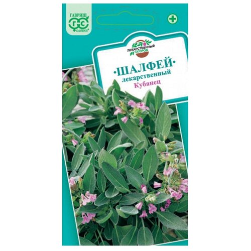 ������ ������ ������ ������ �������������