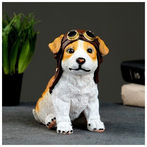 ������ ������ ������ 