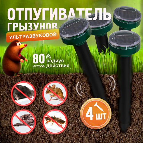 ������ ������ ������������ ������, �����, ����, ����, �������� ��������������, 4��. ����