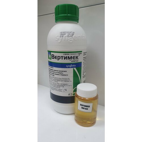 ������ ������ ���������� �������� 100��(������ �������) ����