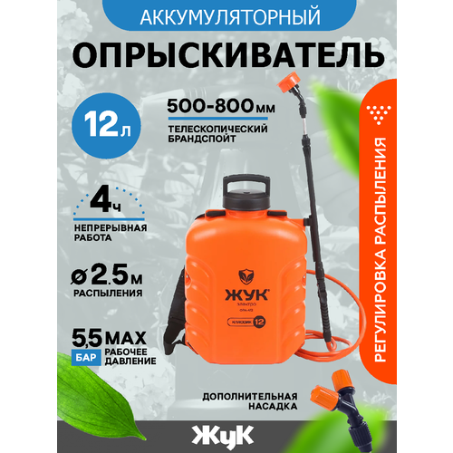 ������ ������ ������������� 12 � '���' �������������� �������� ����