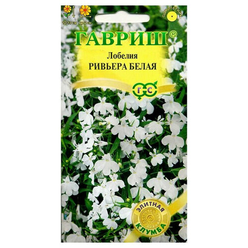 ������ ������ ������ ������� ������� ����� 4�� ��� 13�� (������) ������� ������ ����