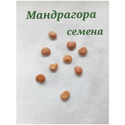 ������ ������ ����������/ �������� ������������� ������ 3��. ����