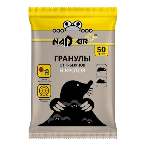 ������ ������ NADZOR \ �������� �� ������ � �������� (2�������� �� 50 �����) ����