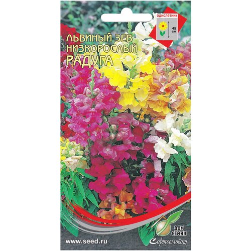 ������ ������ ������� ��� ����������� ������, 450 ����� ����