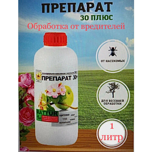 ������ ������ �������� ��� ������ �� �������� ���������� �������� 30 ����, 1 � ����