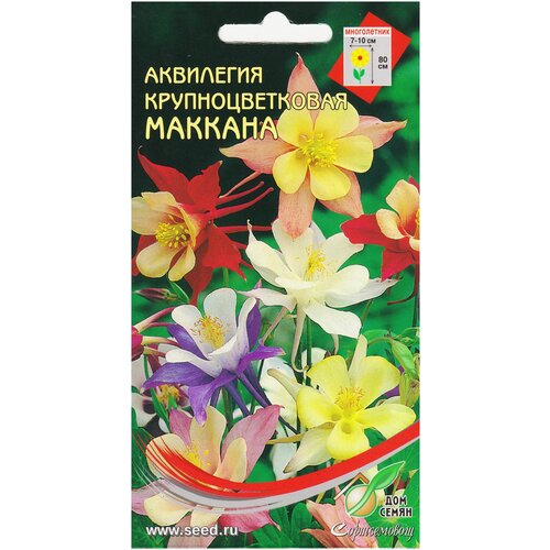 ������ ������ ��������� ����������� ��������������� �������, 50 ����� ����