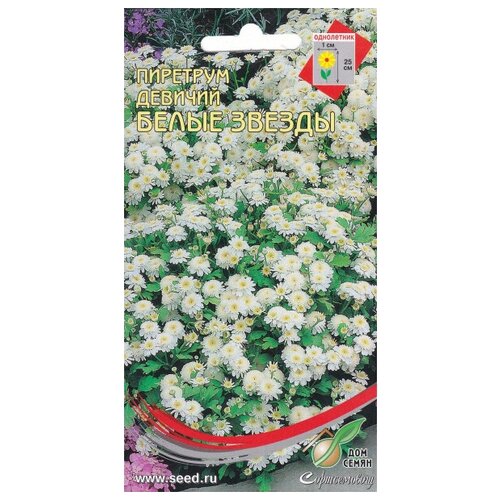 ������ ������ ���������� ����� ������, 300 ����� ����