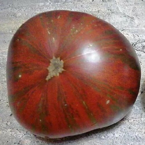 ������ ������ ������ ������ ����� ���� ������� ������� 10 ��. ����