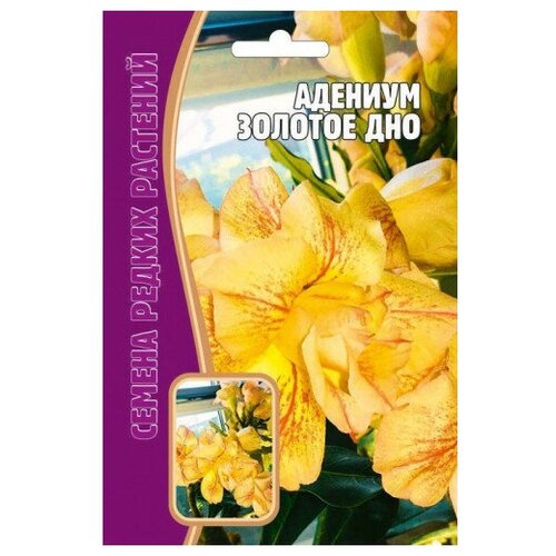 ������ ������ ������ �������� 