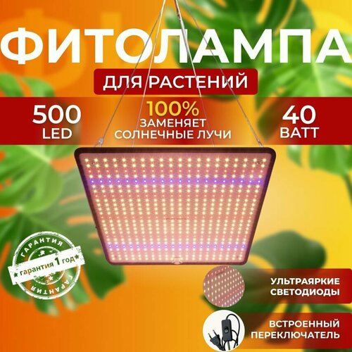 ������ ������ ��������� ��� ����������� �������� ������� ������ ������ �������������� ������������ Quantum board ����� ��������� ��� ������, � �������� 500 LED ����