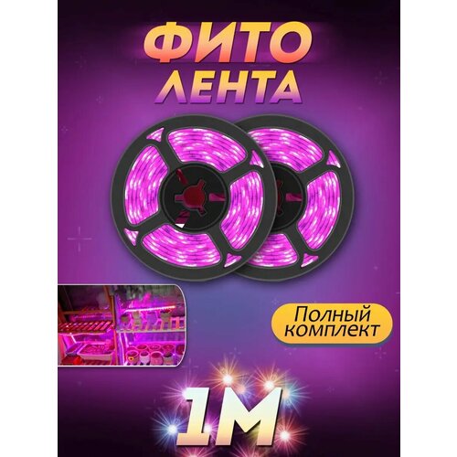 ������ ������ ������������ ����� ��� ������� ����